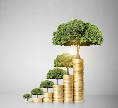 tree growing from coins