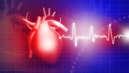 Human heart on medical background .