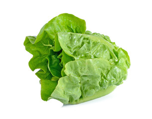 lettuce leaves isolated on white background