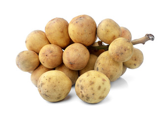 Wollongong on white background