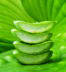 Sliced of aloe vera leaf