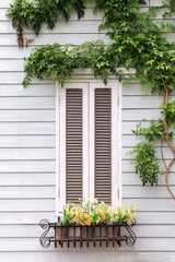 European style window and flower