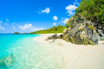 Foto auf Acrylglas Karibik Wunderschöner karibischer Strand