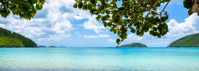 Poster Prachtig Caribisch strand © Fotoluminate LLC