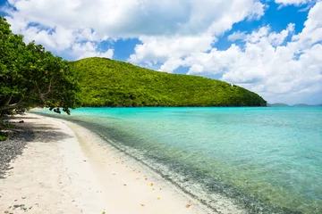 Foto op Canvas Beautiful Caribbean beach © Fotoluminate LLC