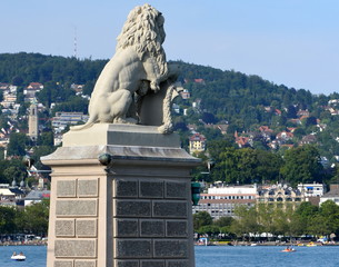 Obraz premium lion de zurich