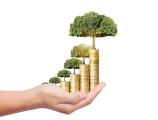 tree growing from coins