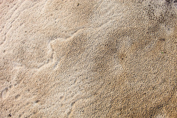 Fototapeta na wymiar Sand surface after the rain