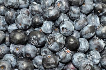 Fresh Blueberries