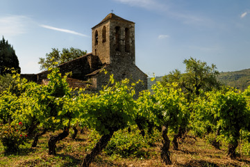 Fototapeta na wymiar church and vineyards