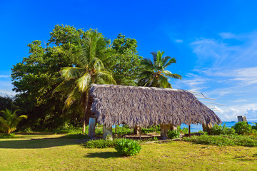 Fototapeta na wymiar Canopy at tropical beach