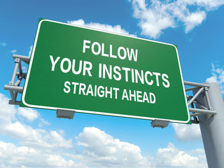 follow you instincts