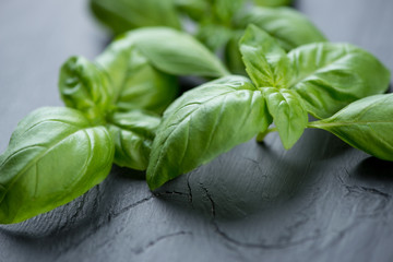 Close-up of green basil leaves over black wooden surface