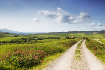 Fototapeta na wymiar The Tuscany landscape with a road. Italy