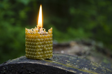 Burning beeswax candle on old log