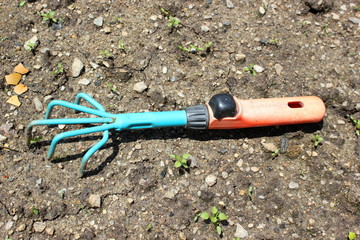 Ein Vertekutierer liegt auf dem Boden im Garten