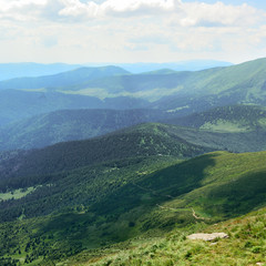 Fototapeta premium Beautiful mountains covered trees