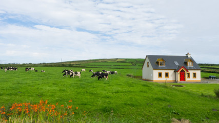 Meadow with cabin and farm animals