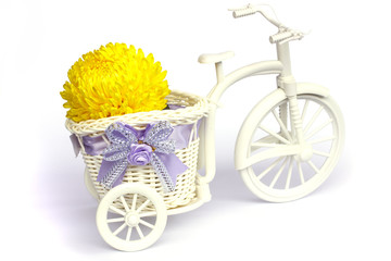 Yellow Blossom Asteraceae Flowers in vase on Mini tricycle