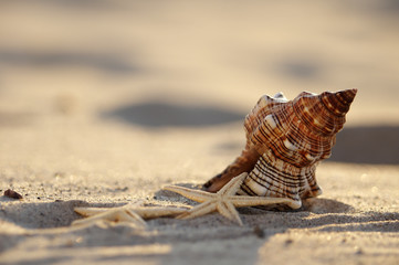 Licht und Schatten am Strand
