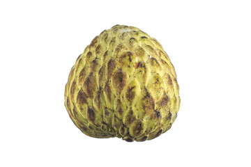sweetsop