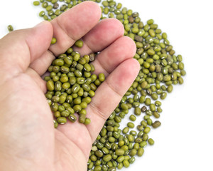 green bean or mung beans