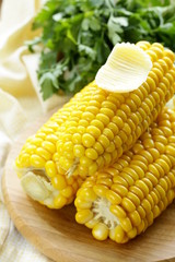fresh boiled cob corn on a wooden plate © Olga Kriger