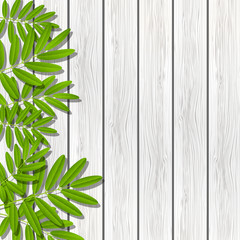 Green leaves border on wooden background