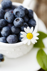 Summer fruits - fresh blueberries from garden