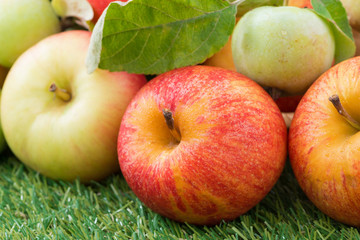 assorted fresh garden apples on green grass, close-up