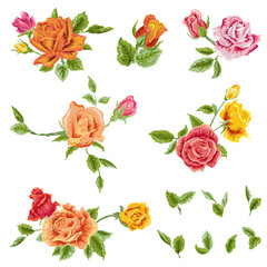 Watercolor Roses Set - floral background - in vector