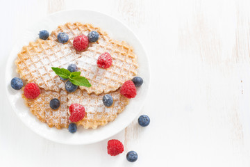 thin Belgian waffles with fresh berries, top view