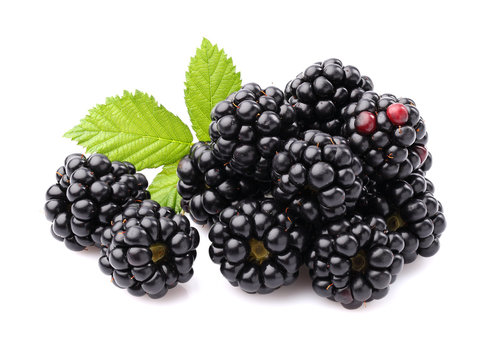 Blackberry with leaves