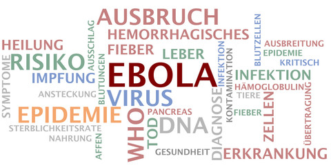 Ebola Ausbruch, Wort Wolke
