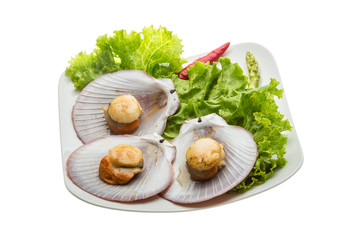 Grilled scallops