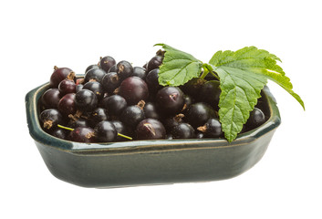 Black currant