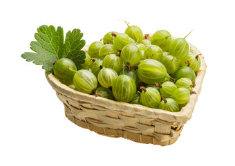 Gooseberry