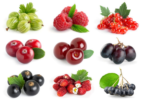 Sweet berries