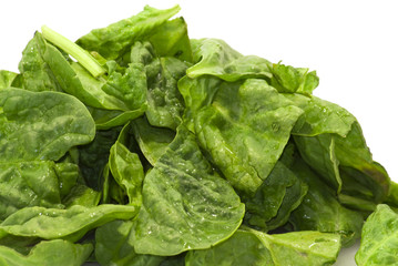 Fresh green leaves spinach on a white background