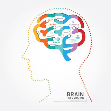 infographics vector brain design diagram point style template