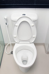 White toilet bowl in a bathroom