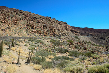 Mountain landscape, Teide, Tenerife