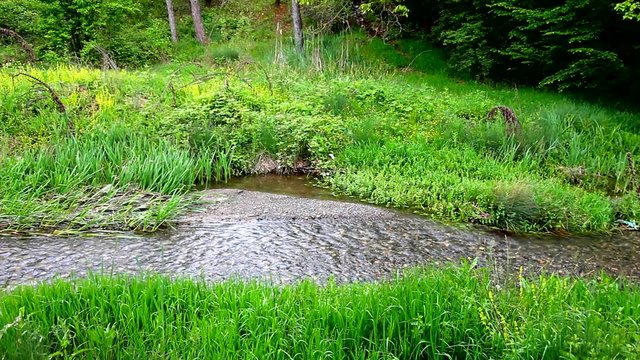Stream flowing through green grass field