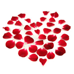 Heart Shape Made of Red Rose Petals