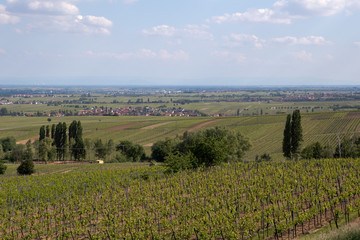 Obraz premium Villa Ludwigshöhe 417