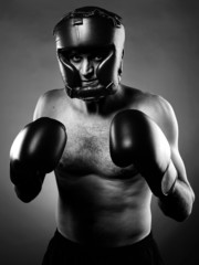 Fototapeta na wymiar Strong aggressive boxer