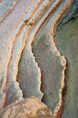0984-f14 © txakel