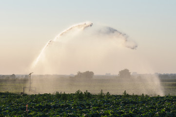 watering machine on agricultural field in summer