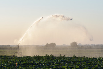 watering machine on agricultural field in summer