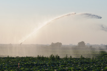 watering machine on agricultural field in summer